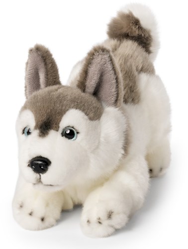 Living Nature husky peluche jouet chien chiot doux câlin