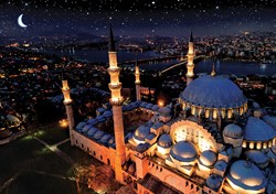 Art Puzzle puzzle Neon Mosquée Bleue 1000 pièces pour enfants