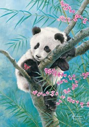 Castorland puzzle Bamboo Dreams - puzzle 500 pièces