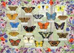 Gibsons puzzle Beautiful Butterflies - 1000 pièces papillons colorés