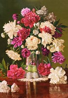 Castorland puzzle fleurs - Belles pivoines - 500 pièces