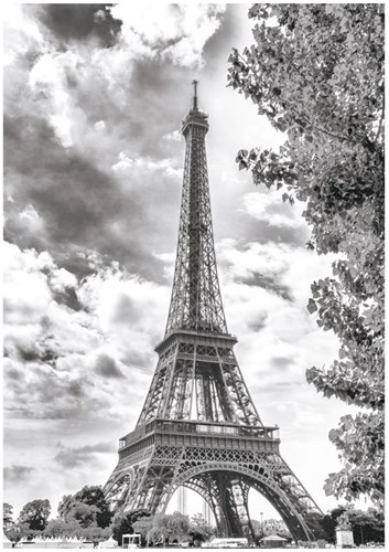Dino puzzle Tour Eiffel noir-blanc - puzzle 500 pièces