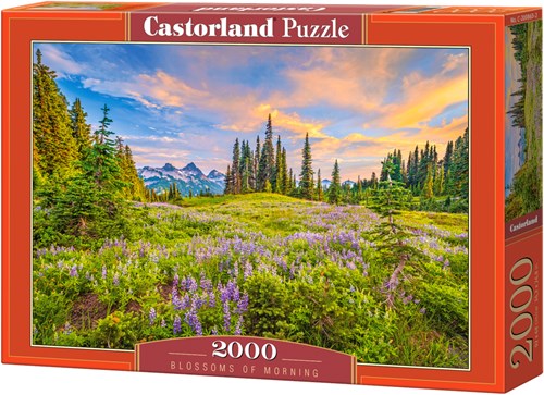 Castorland Puzzle Blossoms of Morning - 2000 pièces puzzle-2