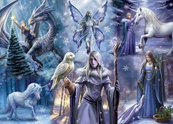 Bluebird Puzzle puzzle Anne Stokes Winter Fantasy 1000 pièces