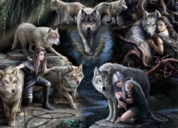 Bluebird Puzzle puzzle Anne Stokes Wolf Collage 1500 pièces animaux