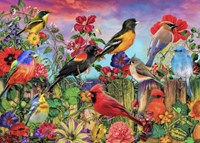 Bluebird Puzzle puzzle Birds and Blooms Garden - 500 pièces