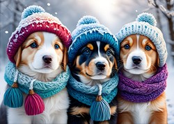 Bluebird Puzzle puzzle Doggies in the Winter - 300 pièces amusement hivernal