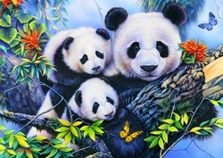 Bluebird Puzzle Panda Family - puzzle enfants 104 pièces