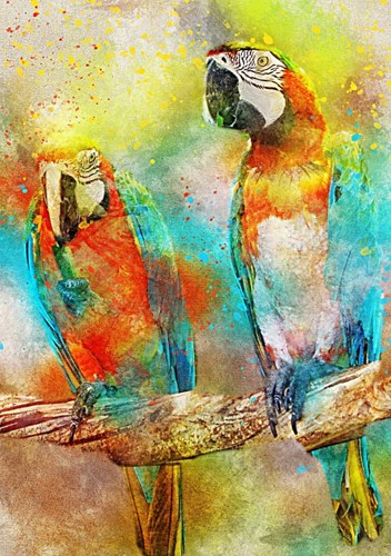 Bluebird Puzzle perroquets - puzzle 1000 pièces jouet coloré