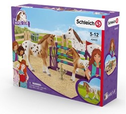 Schleich Horse Club Entraînement au tournoi de Lisa - 42433