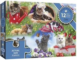 Gibsons Cats (12)