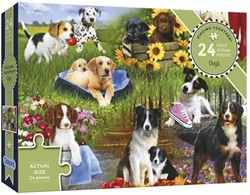 Gibsons Dogs (24)