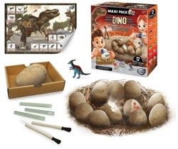 Buki œufs de dinosaures maxi pack - coffret fouille 12 dinosaures jouet