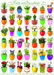 Puzzle Eurographics Cacti & Succulents - 1000 pièces