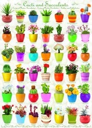 Puzzle Eurographics Cacti & Succulents - 1000 pièces