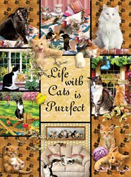 SunsOut puzzle chats casse-tête 1000 pièces jouet coloré