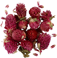 Gedroogde Bloemen Rode Klaver Paars, 15gr