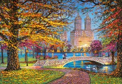 Castorland puzzle Central Park New York - 1500 pièces casse-tête