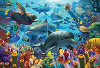 Cobble Hill puzzle Coral Sea - puzzle 2000 pièces monde sous-marin