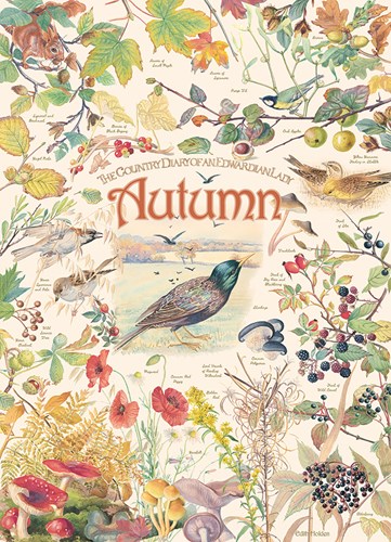 Cobble Hill puzzle d'automne Country Diary 1000 pièces jeu de puzzle