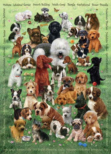Cobble Hill puzzle Puppy Love 350 pièces puzzle familial
