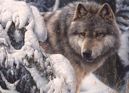 Cobble Hill puzzle 1000 pièces - Master of the North animal