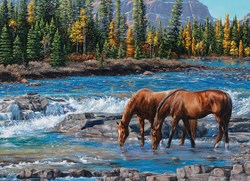 Cobble Hill puzzle animaux chevaux - puzzle 1000 pièces