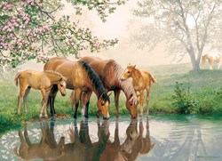 Cobble Hill puzzle famille de chevaux XXL pièces 350 pièces carton