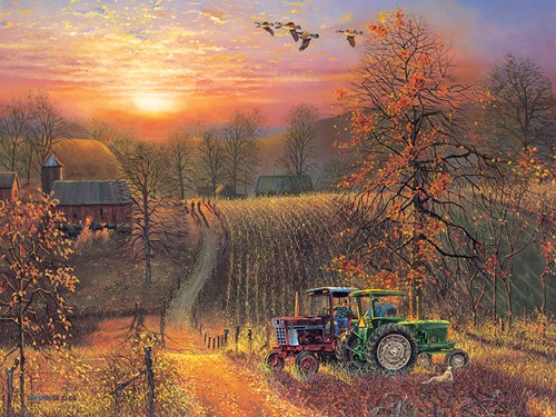 Cobble Hill puzzle XXL Pièces 275 grandes pièces Taking a Break paysage