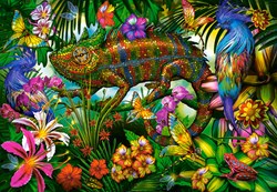 Castorland puzzle Color Competition - 1500 pièces casse-tête