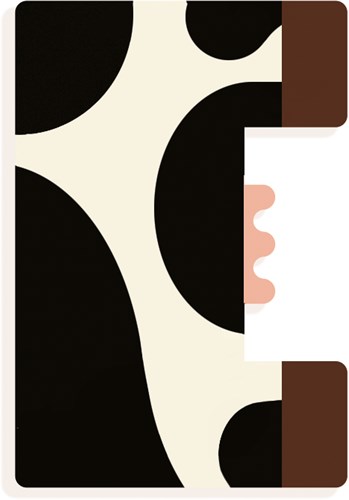 Djeco lettre en bois E - alphabet animal graphique pour chambre d'enfant-2