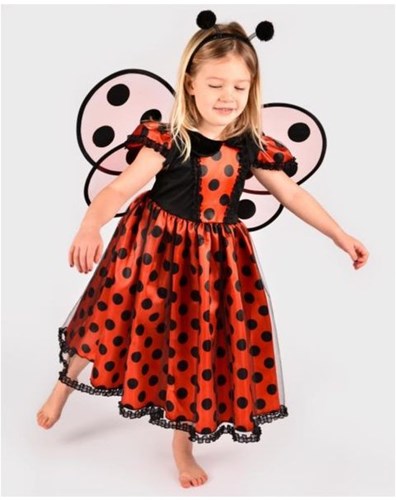 Den Goda Fen robe déguisement coccinelle avec accessoires 98-104 cm