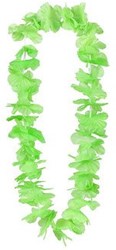 Hawaii Krans Groen