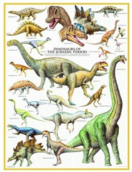 Eurographics Casse-tête Dinosaures du Jurassique - 1000 pièces