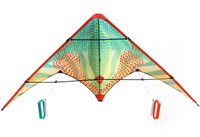Djeco cerf-volant Red Dots - cerf-volant acrobatique contrôlable pour enfants