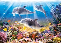Castorland puzzle monde animal dauphins - 500 pièces