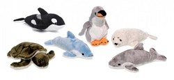 Les animaux de mer