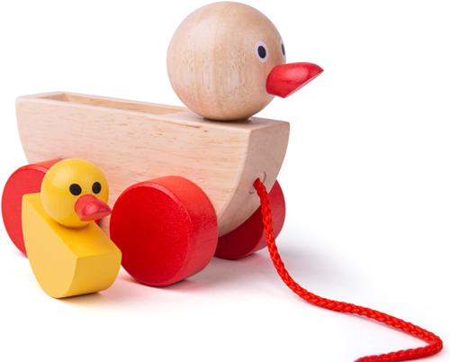 Bigjigs Canard et Caneton-3