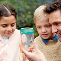 Hape pot à insectes petit explorateur - jouet éducatif nature
