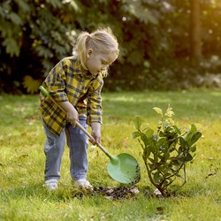 Hape pelle de jardin jouet - pelle pointue pour enfants verte dès 4 ans