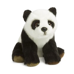 Pandas