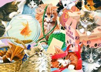 Enjoy Puzzle puzzle chat Curious Cats - 1000 pièces puzzle adulte