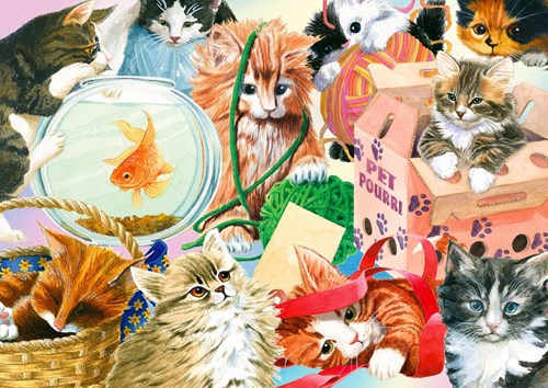 Enjoy Puzzle puzzle chat Curious Cats - 1000 pièces puzzle adulte
