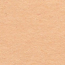 Folia papier cartonné photo loisirs créatifs 50x70cm - 300g - Chamois - 10 feuilles