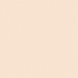 Folia carton photo beige clair 10 feuilles - 300g - 50x70 cm carton créatif