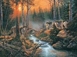 SunsOut puzzle Forest Shadows - puzzle 1000 pièces