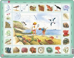 Larsen puzzle - thème mer - italien - 48 pièces carton