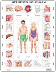 Larsen puzzle - Corps humain éducatif carton 35 pièces