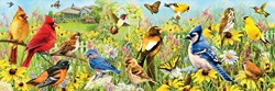 Eurographics Garden Birds - Greg Giordano Panorama (1000)