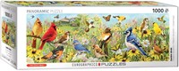 Eurographics Garden Birds - Greg Giordano Panorama (1000)-2